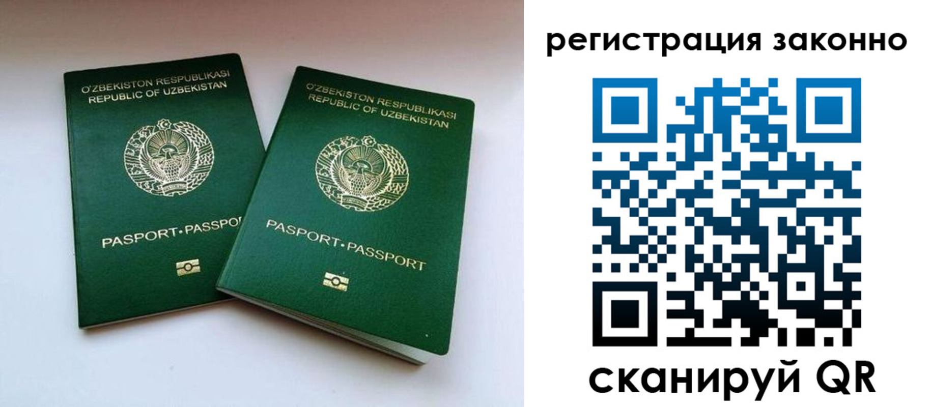 прописка гарантия в Ржеве